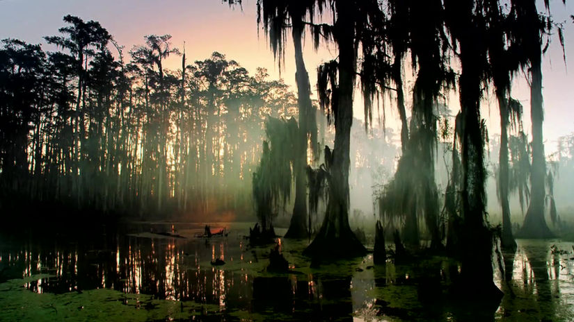 Swamp People Super Bowl Spot "Who's Your Boss"